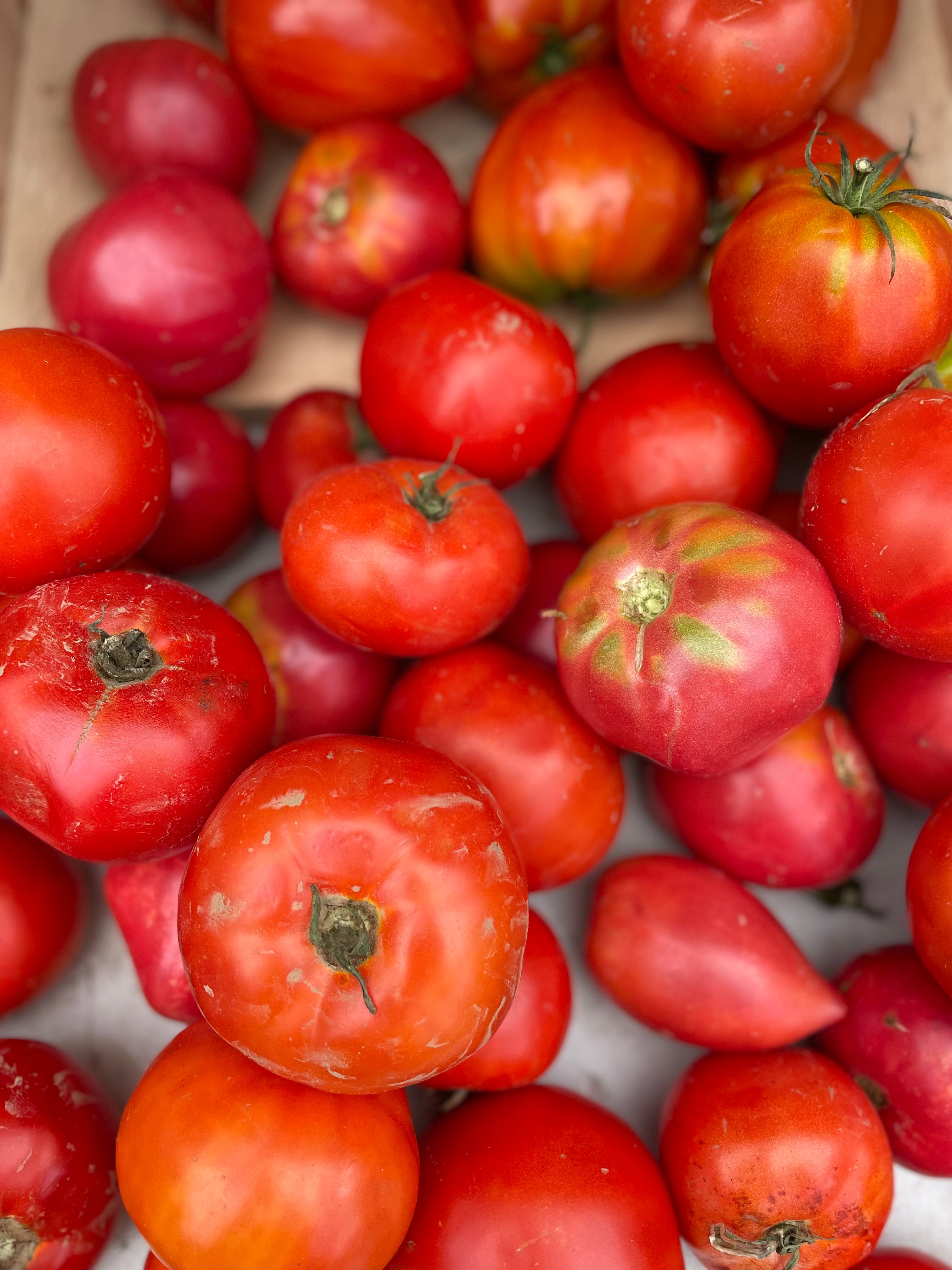 Shrub Roasted Tomato Jam – Urban Pharm