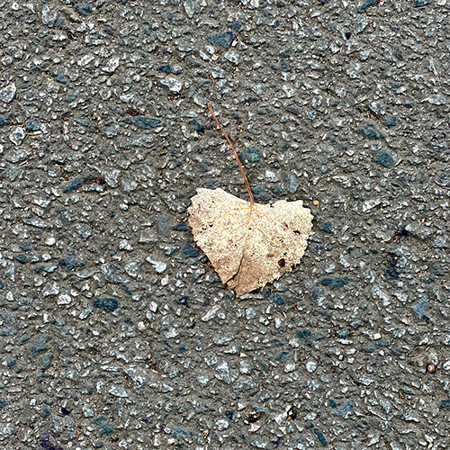 Nature's Perpetual Offerings