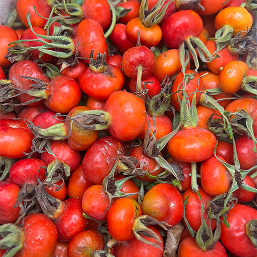 Let’s get picking, friends!