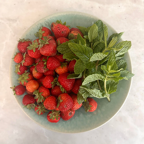 Limited Edition: Strawberry and Mint Shrub