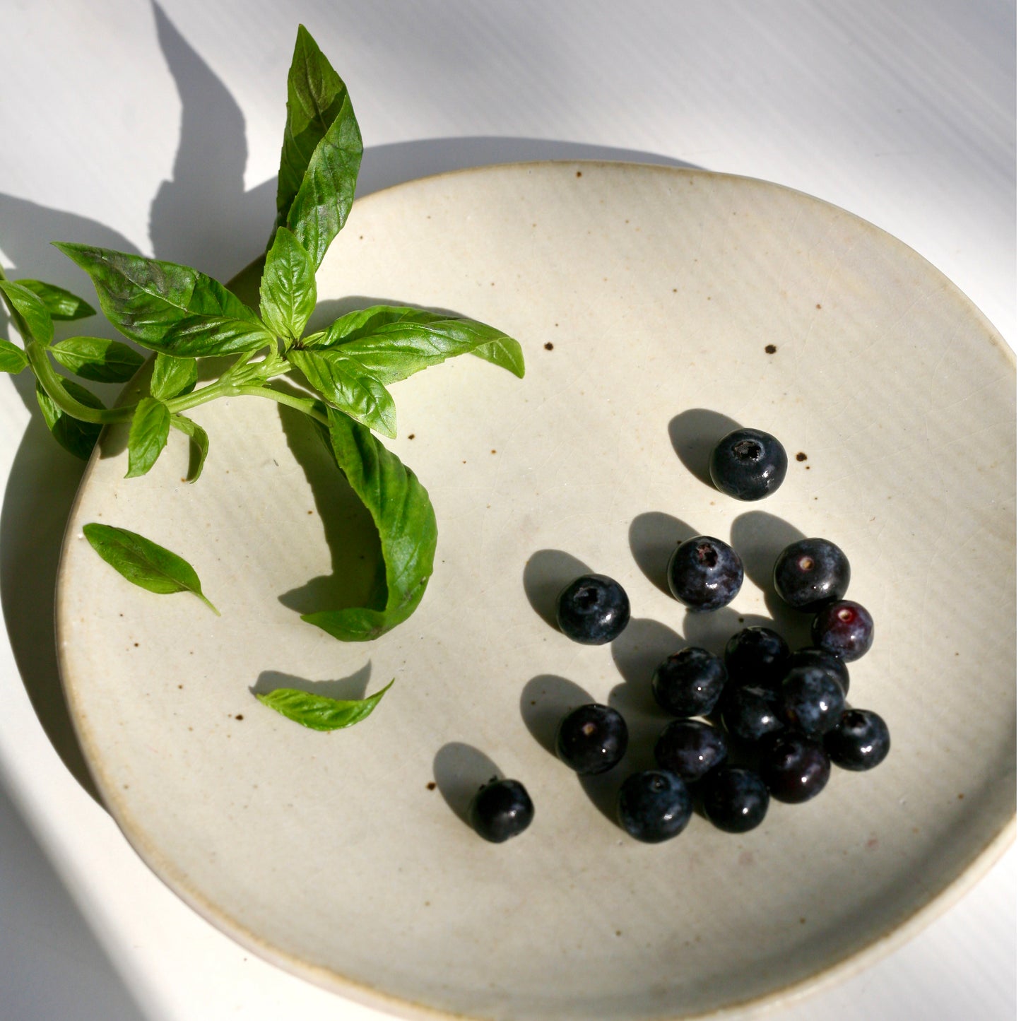 Wild Blueberry and Basil Shrub